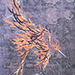 Tadashi Nakayama Gallery